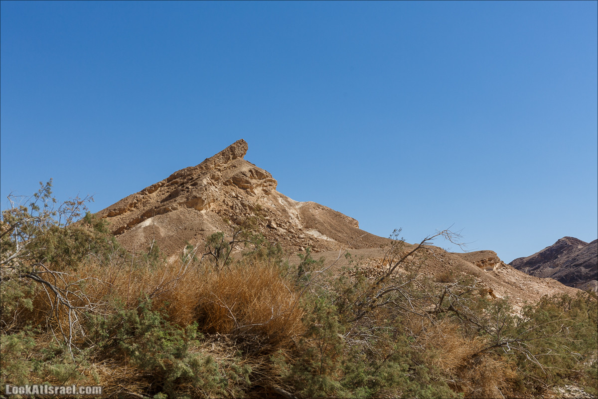 Цукей Фаран и каменный ручей Овиль | LookAtIsrael.com - Фото путешествия по Израилю