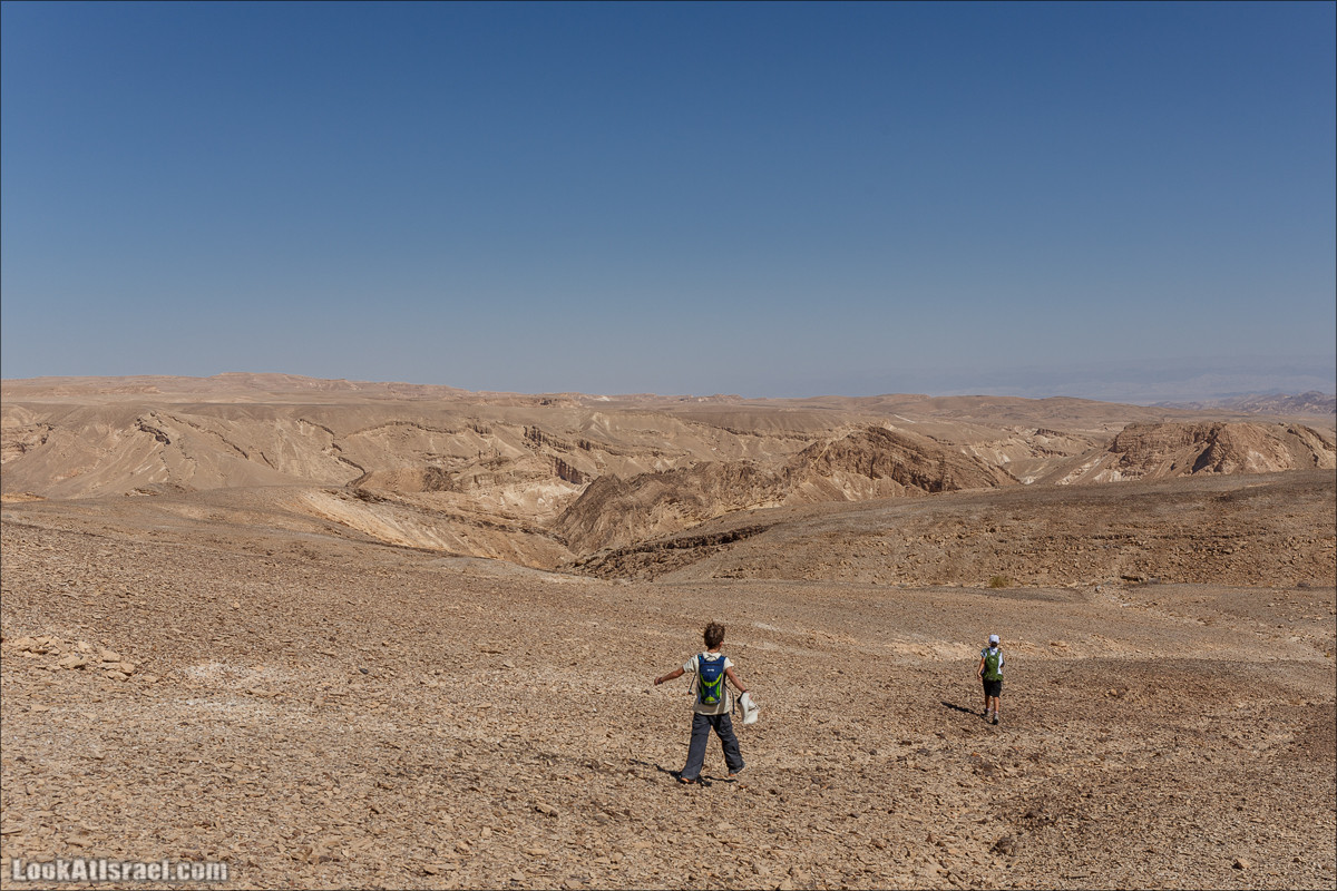 Цукей Фаран и каменный ручей Овиль | LookAtIsrael.com - Фото путешествия по Израилю