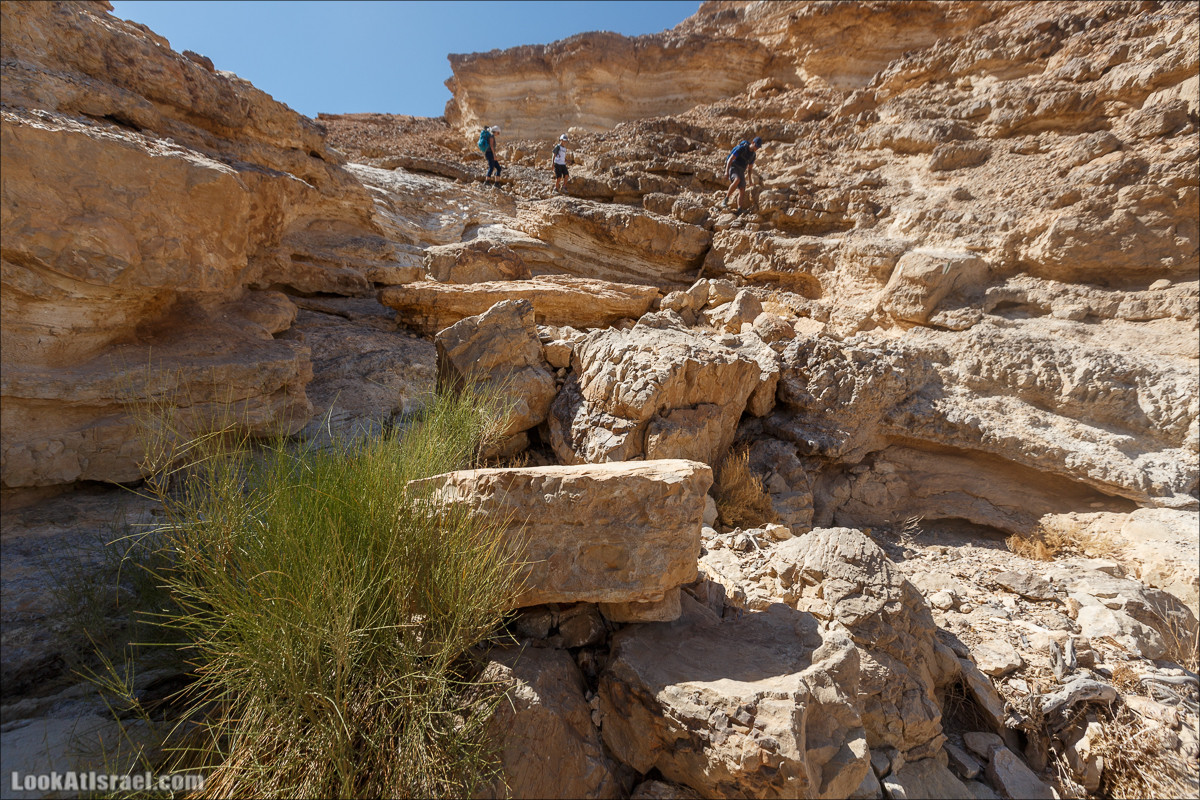 Цукей Фаран и каменный ручей Овиль | LookAtIsrael.com - Фото путешествия по Израилю
