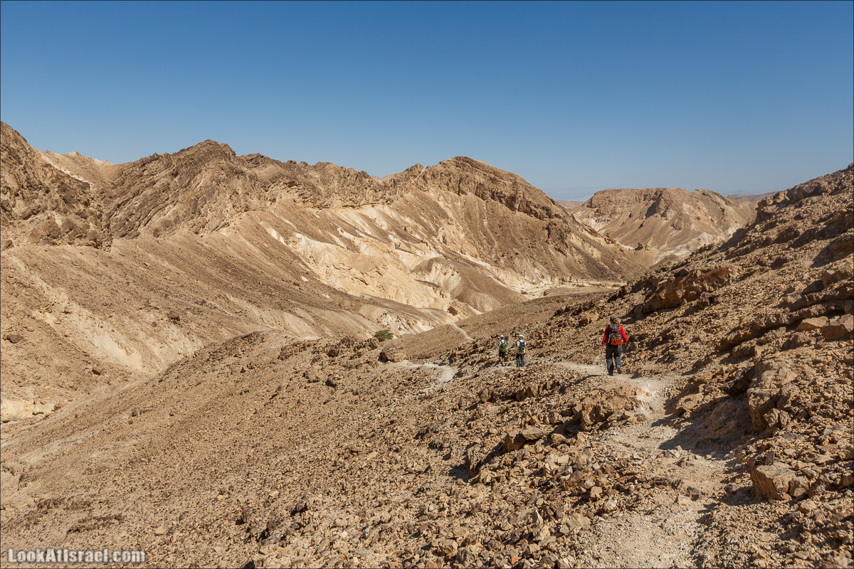 Цукей Фаран и каменный ручей Овиль | LookAtIsrael.com - Фото путешествия по Израилю