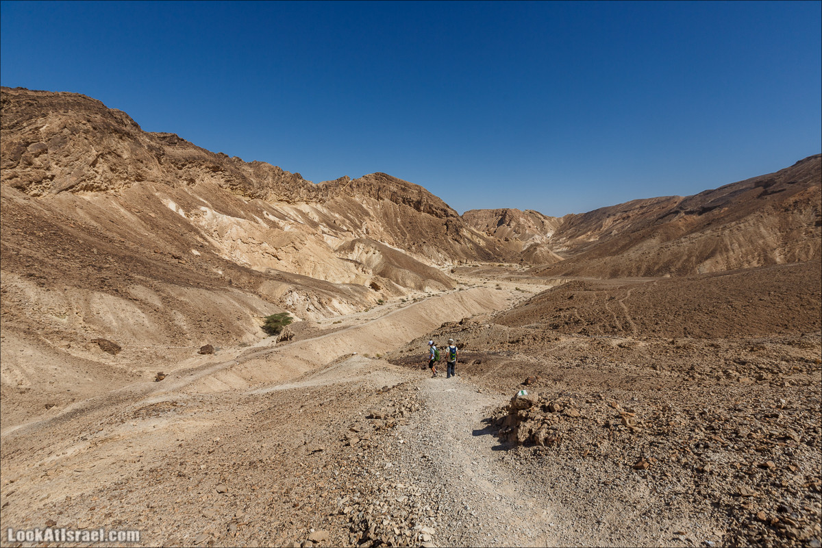 Цукей Фаран и каменный ручей Овиль | LookAtIsrael.com - Фото путешествия по Израилю