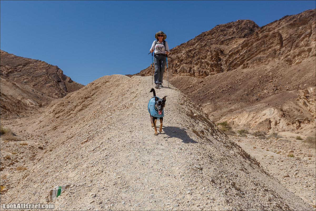 Цукей Фаран и каменный ручей Овиль | LookAtIsrael.com - Фото путешествия по Израилю