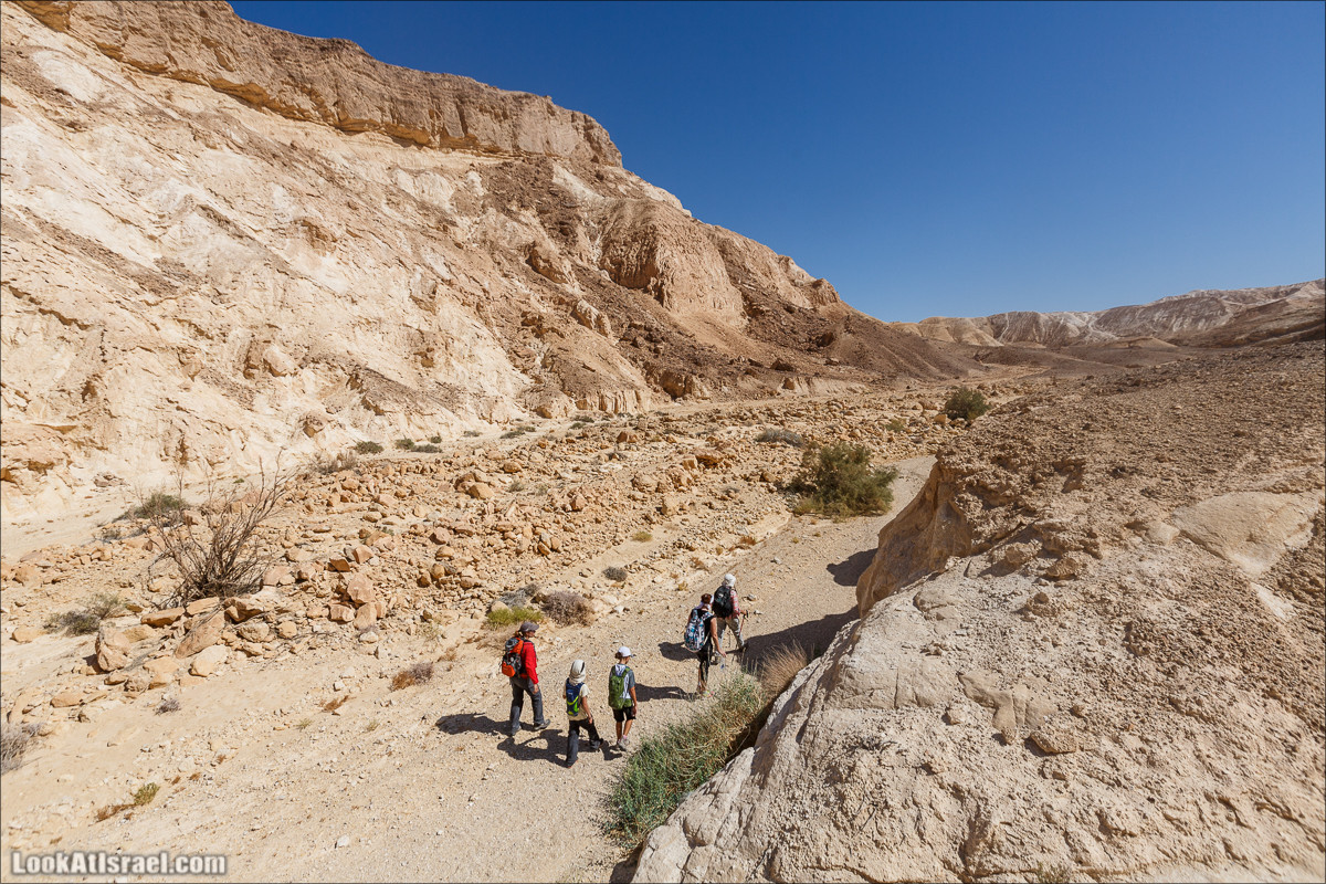 Цукей Фаран и каменный ручей Овиль | LookAtIsrael.com - Фото путешествия по Израилю
