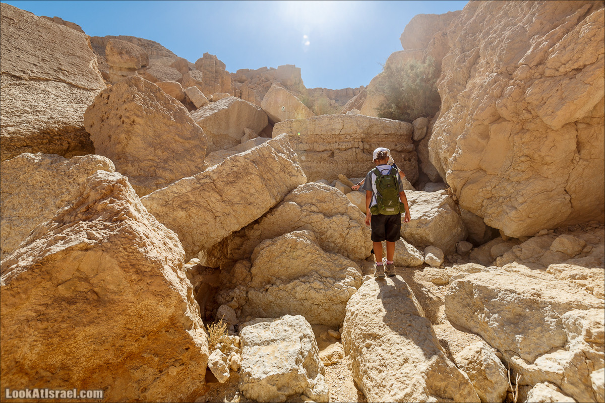 Цукей Фаран и каменный ручей Овиль | LookAtIsrael.com - Фото путешествия по Израилю