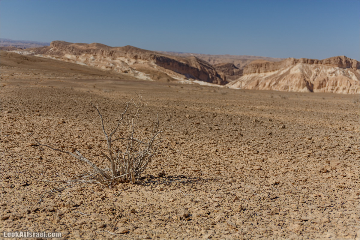 Цукей Фаран и каменный ручей Овиль | LookAtIsrael.com - Фото путешествия по Израилю