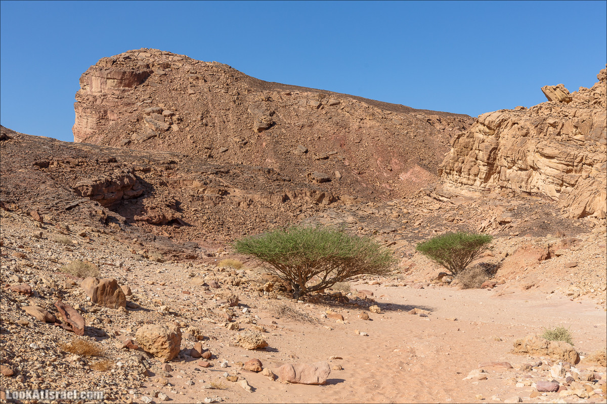 От ручья (нахаль) Амир к Скрытой долине | LookAtIsrael.com - Фото путешествия по Израилю