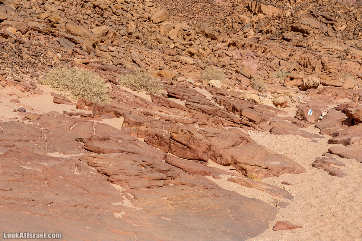 От ручья (нахаль) Амир к Скрытой долине | LookAtIsrael.com - Фото путешествия по Израилю