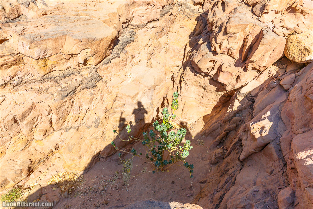 От ручья (нахаль) Амир к Скрытой долине | LookAtIsrael.com - Фото путешествия по Израилю