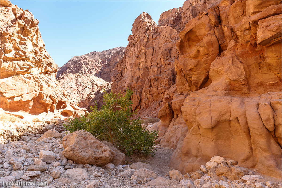 От ручья (нахаль) Амир к Скрытой долине | LookAtIsrael.com - Фото путешествия по Израилю