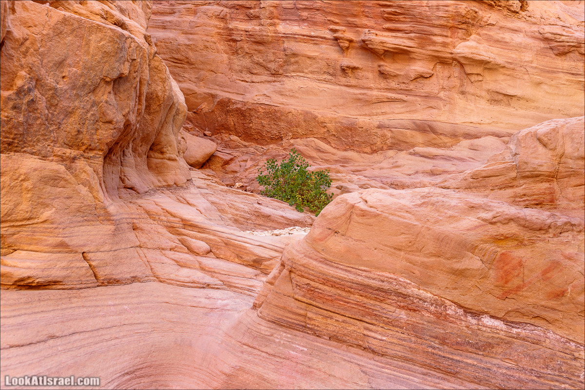 От ручья (нахаль) Амир к Скрытой долине | LookAtIsrael.com - Фото путешествия по Израилю