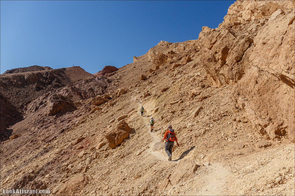 Затерянное ущелье и Нахаль Родед | LookAtIsrael.com - Фото путешествия по Израилю