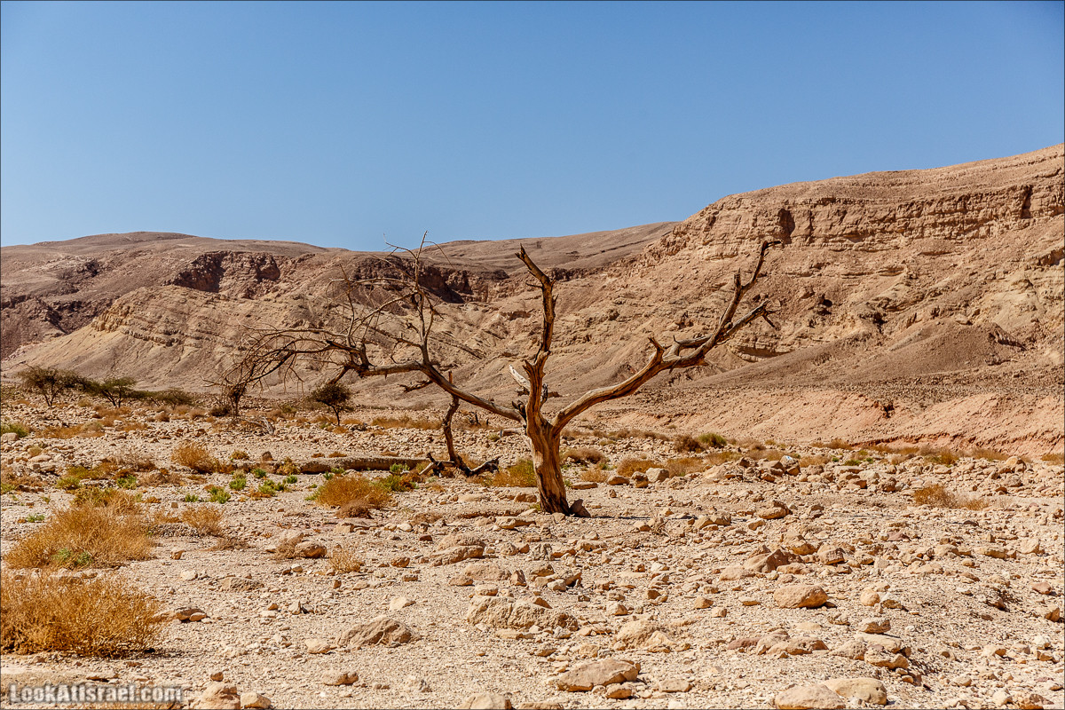 Затерянное ущелье и Нахаль Родед | LookAtIsrael.com - Фото путешествия по Израилю