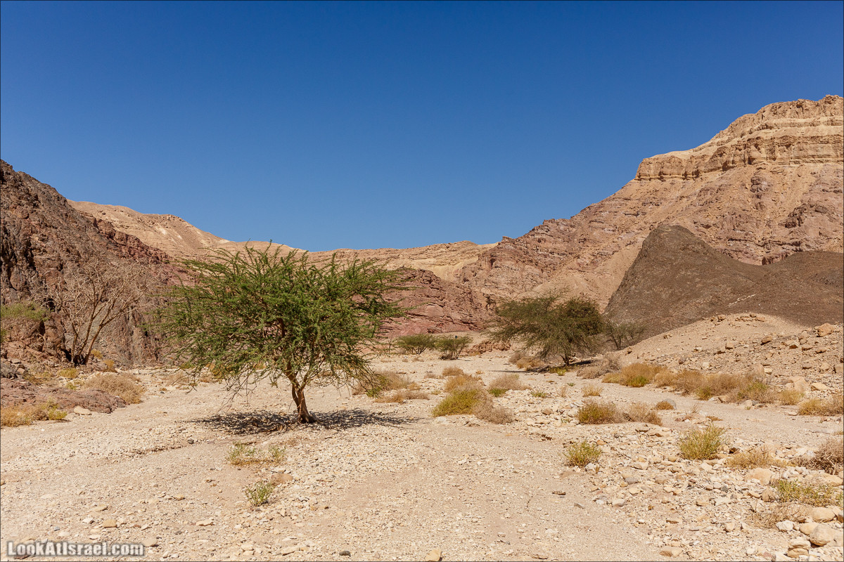 Затерянное ущелье и Нахаль Родед | LookAtIsrael.com - Фото путешествия по Израилю