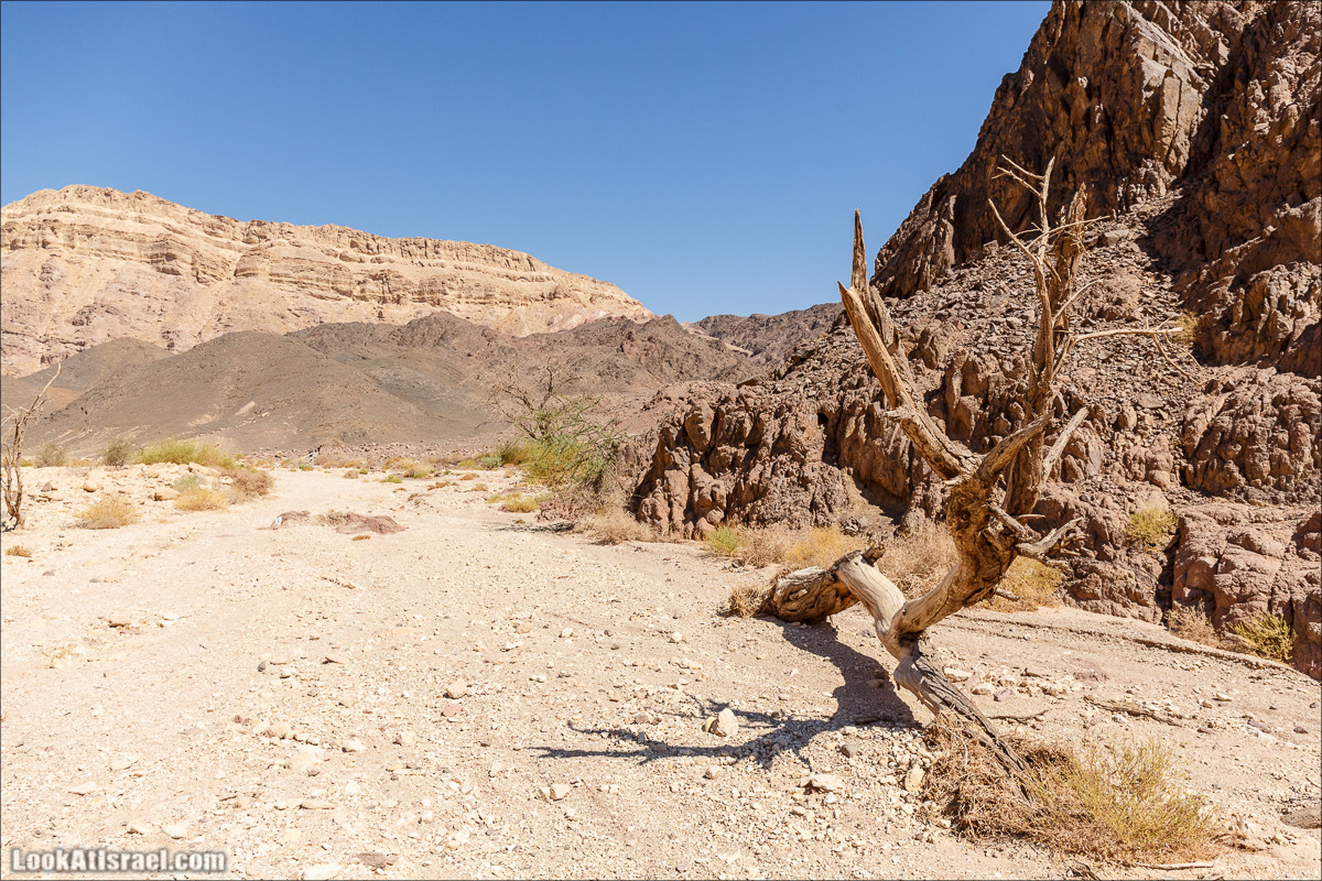 Затерянное ущелье и Нахаль Родед | LookAtIsrael.com - Фото путешествия по Израилю