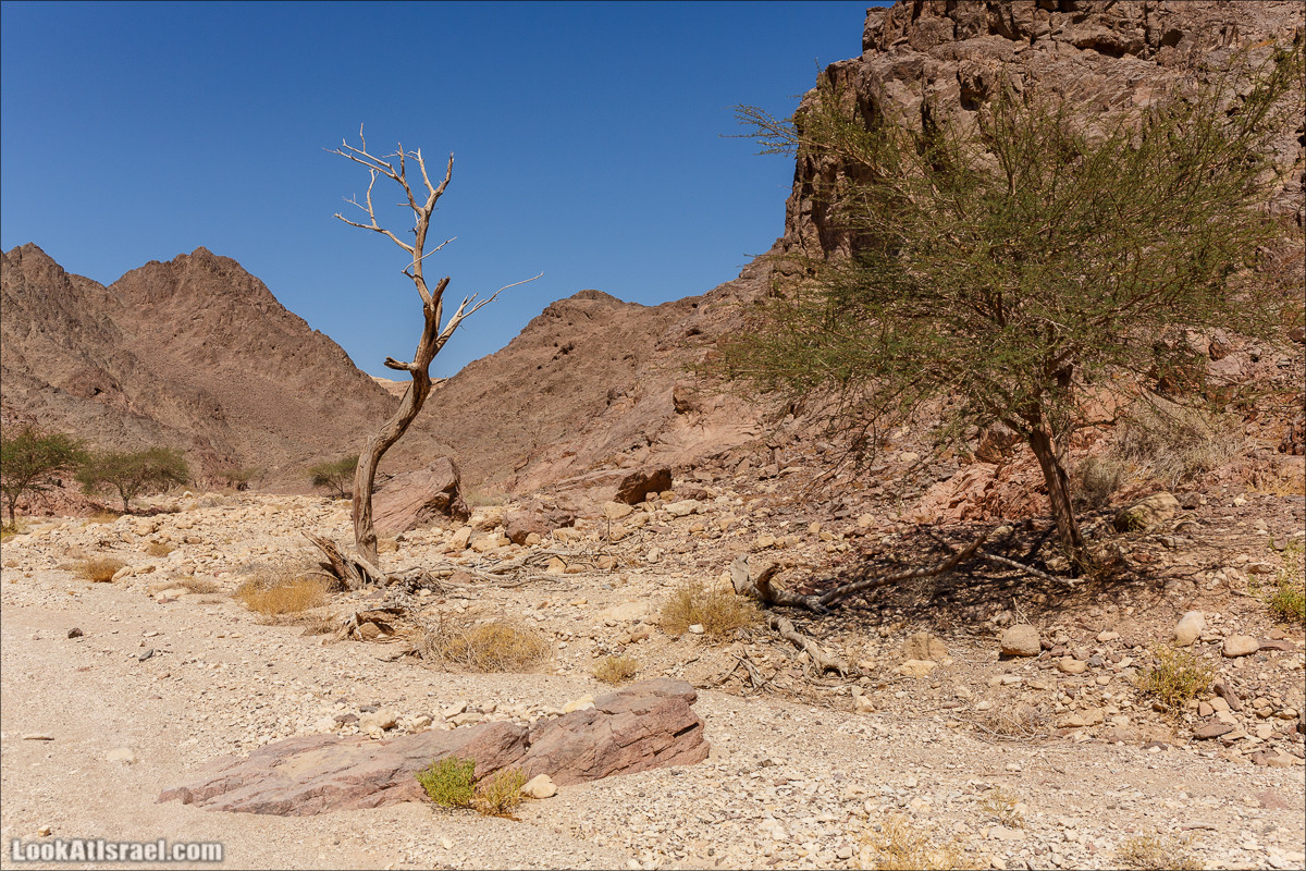 Затерянное ущелье и Нахаль Родед | LookAtIsrael.com - Фото путешествия по Израилю