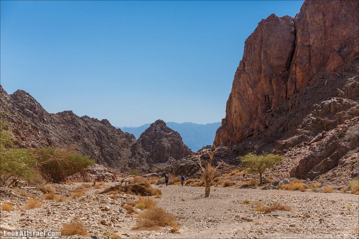 Затерянное ущелье и Нахаль Родед | LookAtIsrael.com - Фото путешествия по Израилю
