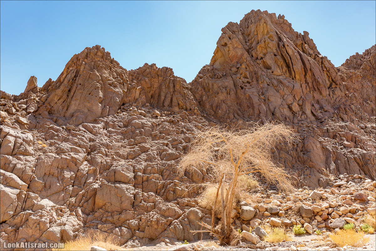 Затерянное ущелье и Нахаль Родед | LookAtIsrael.com - Фото путешествия по Израилю