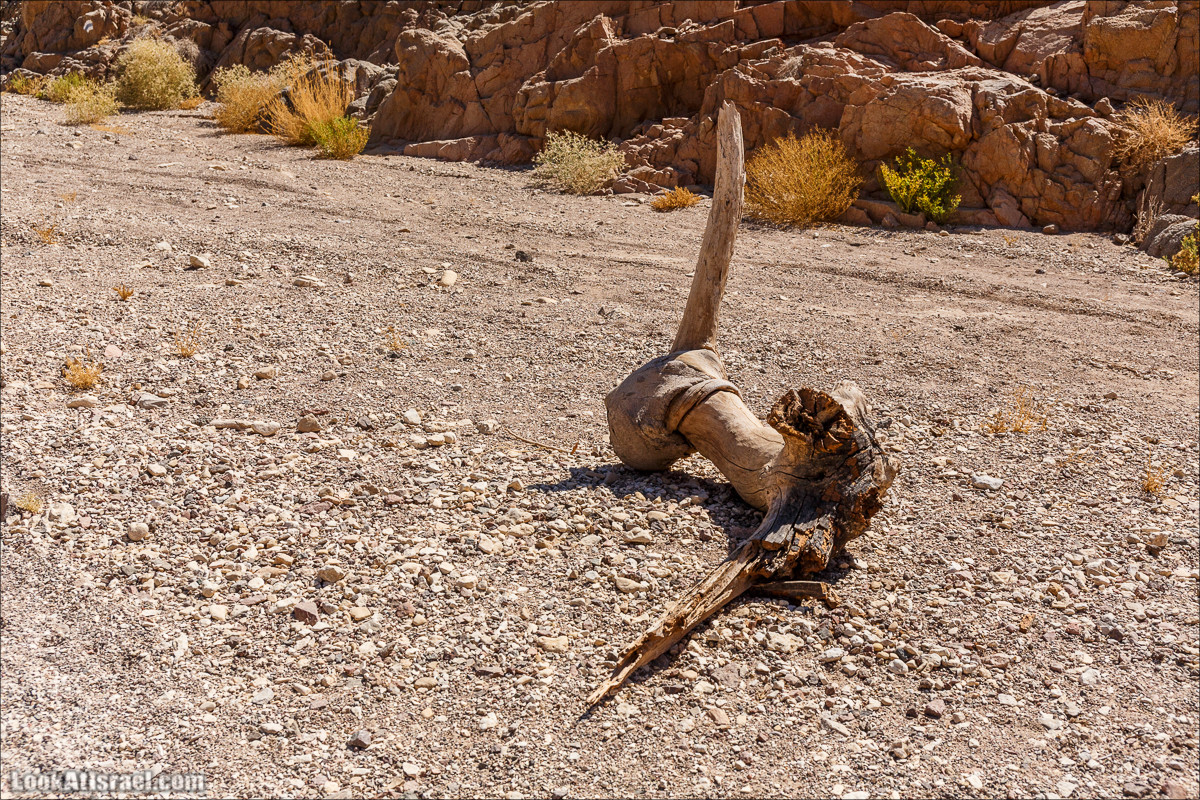 Затерянное ущелье и Нахаль Родед | LookAtIsrael.com - Фото путешествия по Израилю