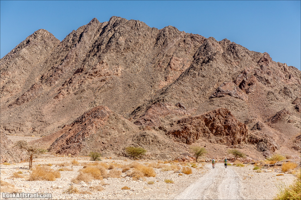 Затерянное ущелье и Нахаль Родед | LookAtIsrael.com - Фото путешествия по Израилю