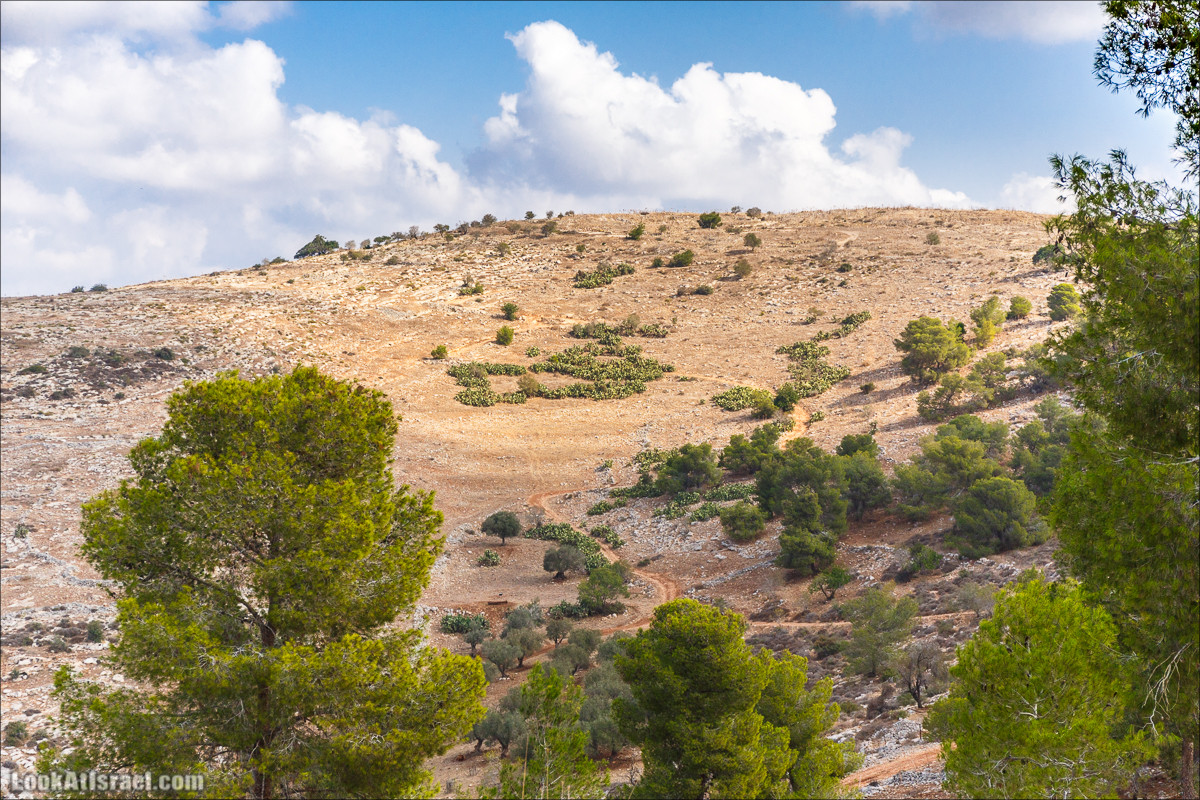 От Гильбоа к крепости Бельвуар по бездорожью | LookAtIsrael.com - Фото путешествия по Израилю