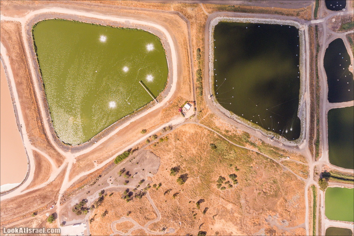 От Гильбоа к крепости Бельвуар по бездорожью | LookAtIsrael.com - Фото путешествия по Израилю