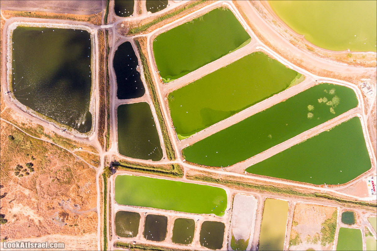 От Гильбоа к крепости Бельвуар по бездорожью | LookAtIsrael.com - Фото путешествия по Израилю