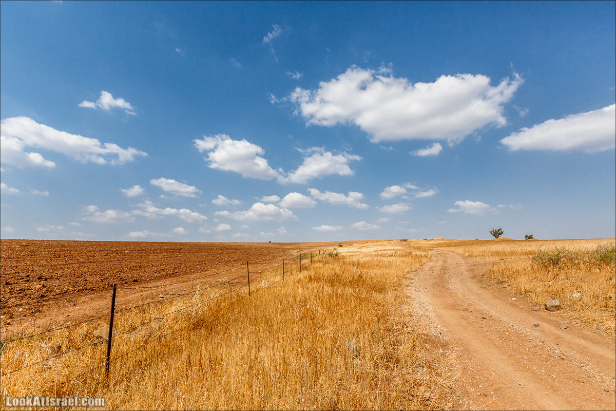 От Гильбоа к крепости Бельвуар по бездорожью | LookAtIsrael.com - Фото путешествия по Израилю