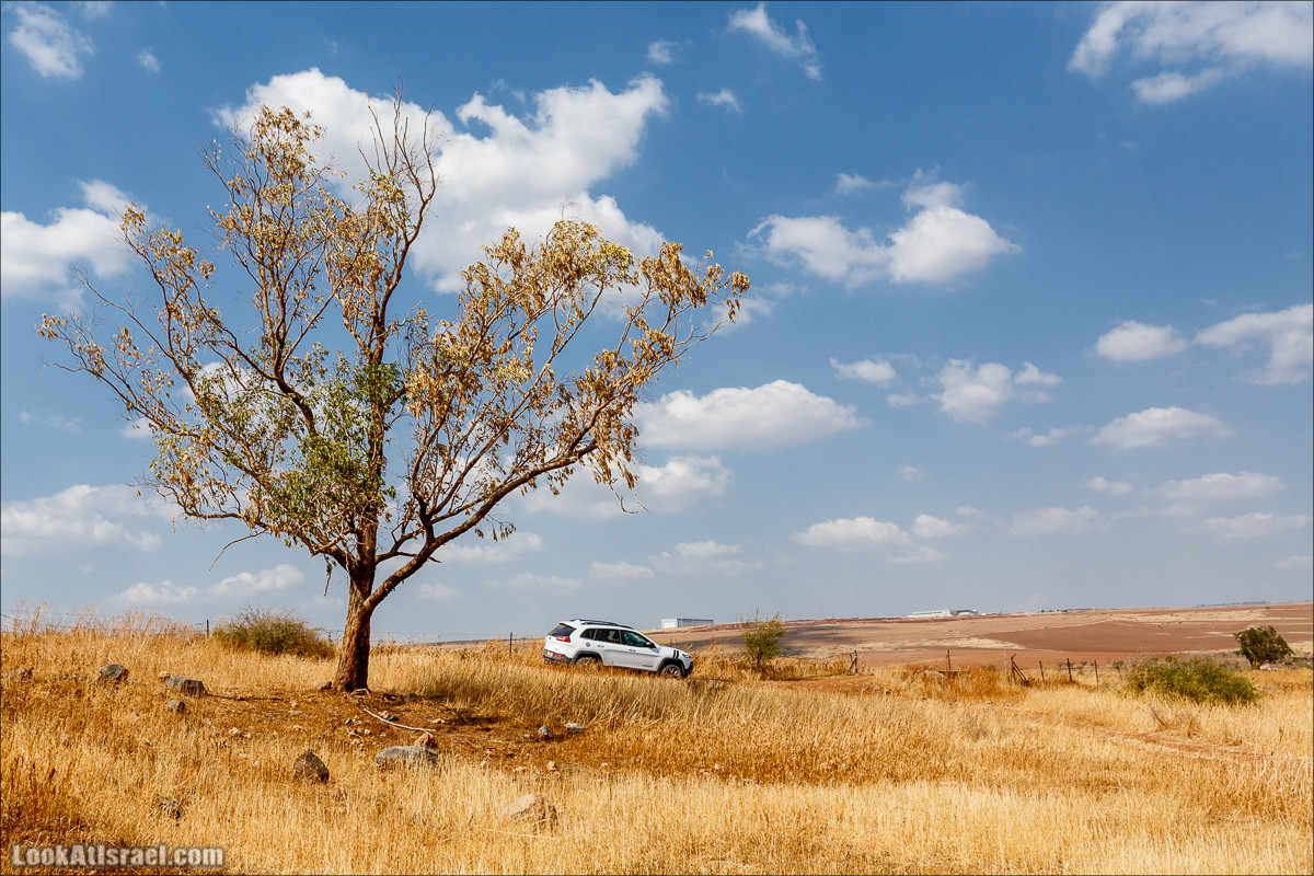 От Гильбоа к крепости Бельвуар по бездорожью | LookAtIsrael.com - Фото путешествия по Израилю