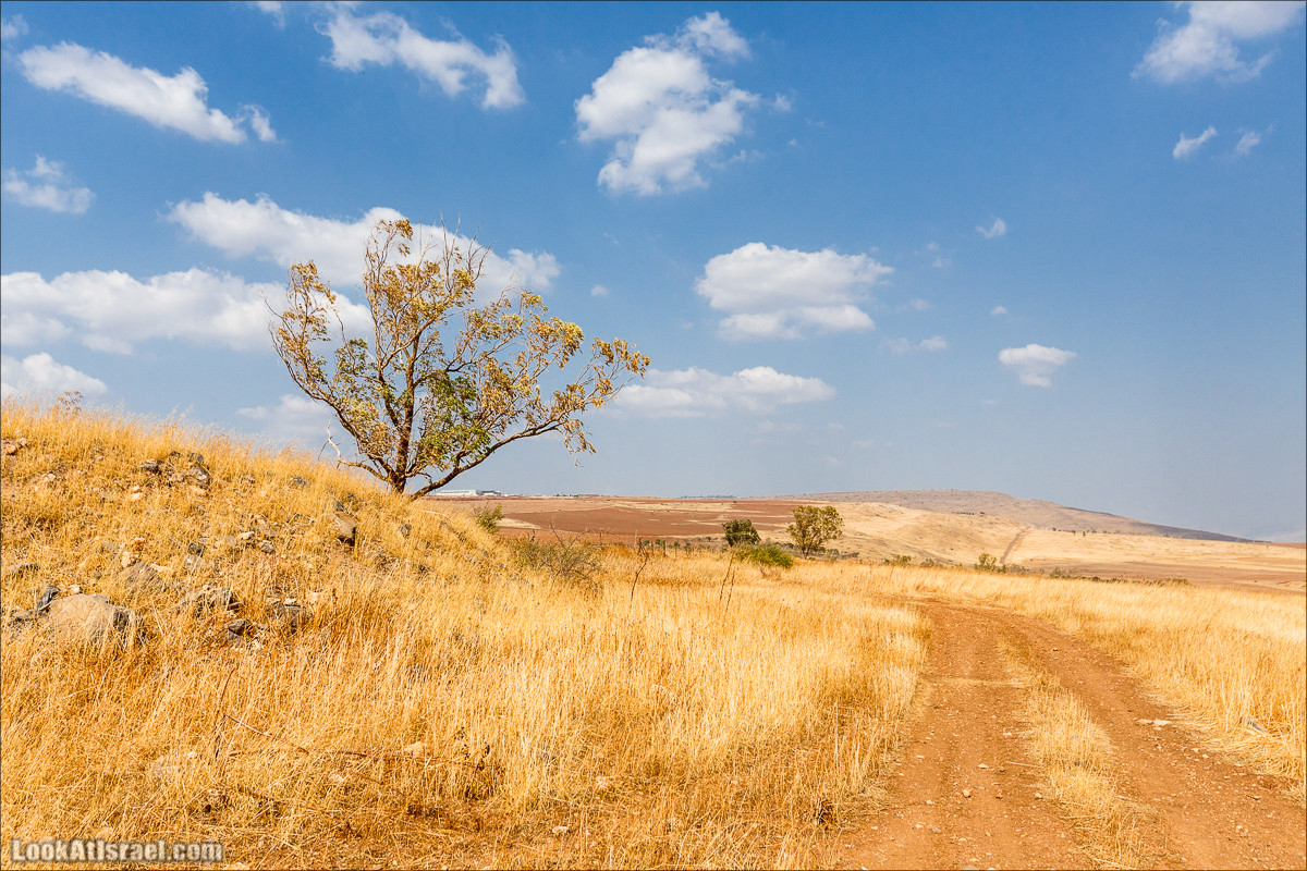 От Гильбоа к крепости Бельвуар по бездорожью | LookAtIsrael.com - Фото путешествия по Израилю