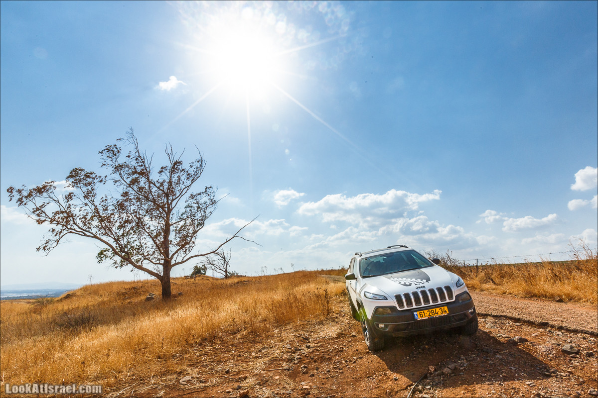От Гильбоа к крепости Бельвуар по бездорожью | LookAtIsrael.com - Фото путешествия по Израилю