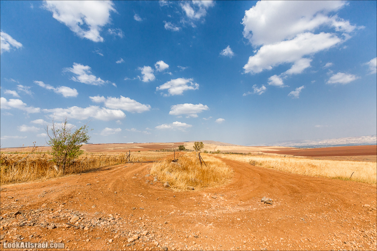 От Гильбоа к крепости Бельвуар по бездорожью | LookAtIsrael.com - Фото путешествия по Израилю