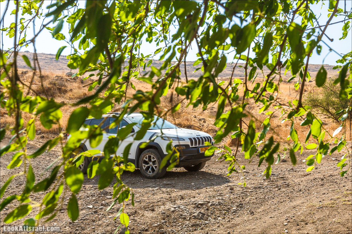 От Гильбоа к крепости Бельвуар по бездорожью | LookAtIsrael.com - Фото путешествия по Израилю