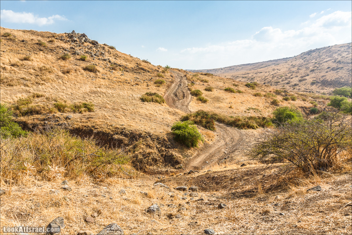 От Гильбоа к крепости Бельвуар по бездорожью | LookAtIsrael.com - Фото путешествия по Израилю