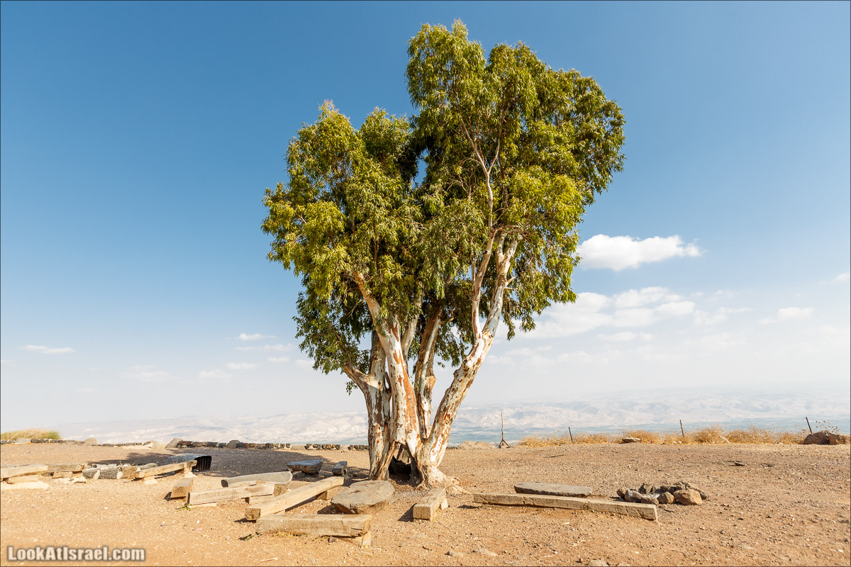 От Гильбоа к крепости Бельвуар по бездорожью | LookAtIsrael.com - Фото путешествия по Израилю