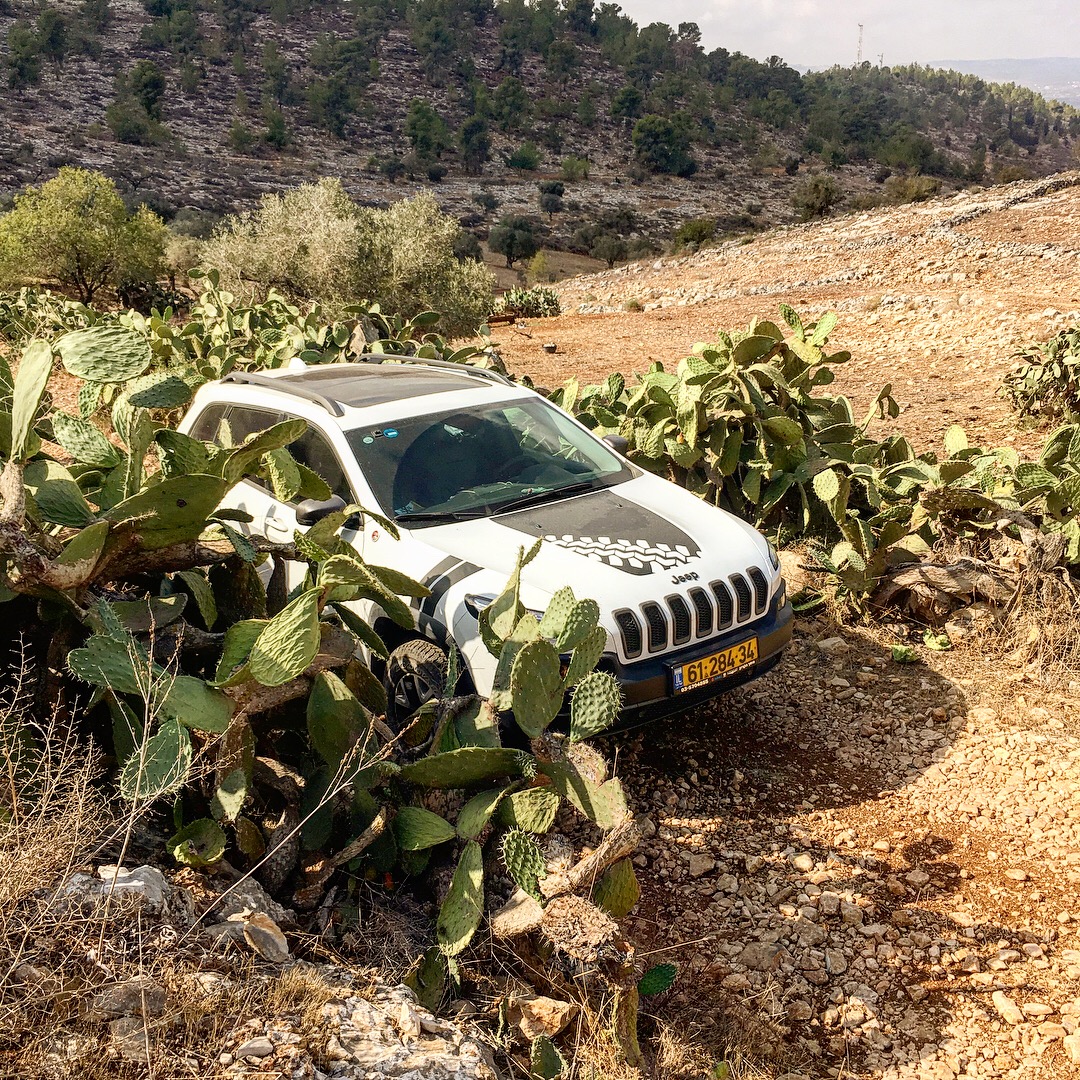 От Гильбоа к крепости Бельвуар по бездорожью | LookAtIsrael.com - Фото путешествия по Израилю