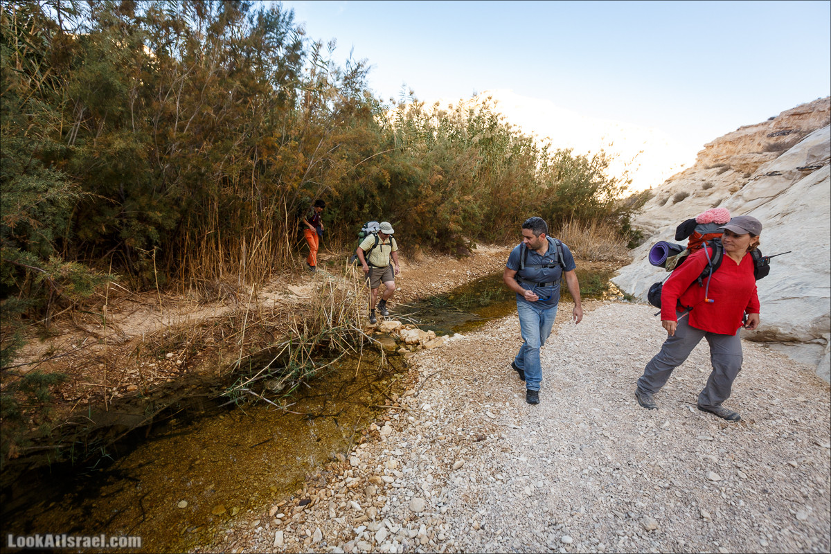 Трещины в пустыне, Сдаким, Нахаль Хава, Эйн Акев, Шавив | מעוק סדקים נחל חווה עין שביב עין עקב | LookAtIsrael.com - Фото путешествия по Израилю