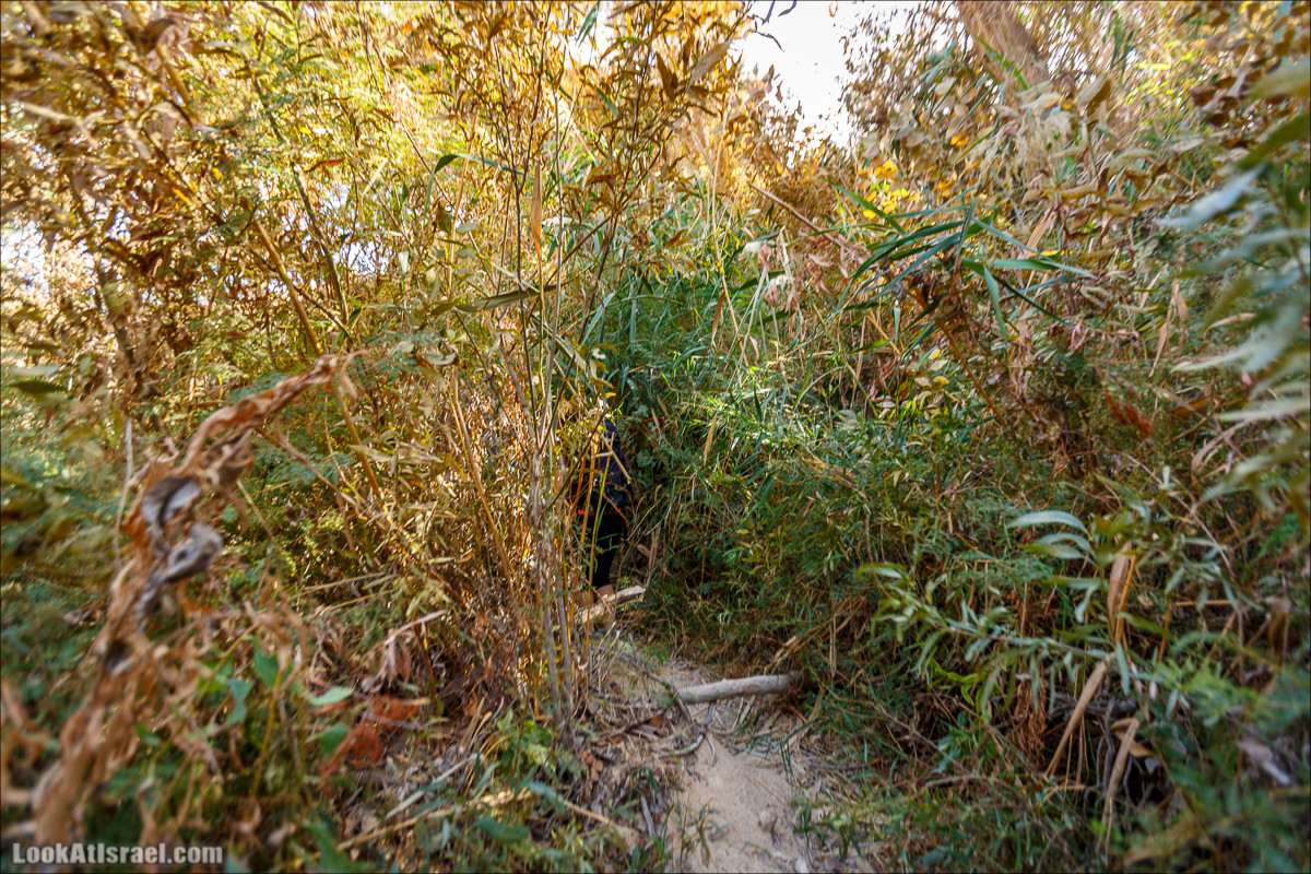 Трещины в пустыне, Сдаким, Нахаль Хава, Эйн Акев, Шавив | מעוק סדקים נחל חווה עין שביב עין עקב | LookAtIsrael.com - Фото путешествия по Израилю