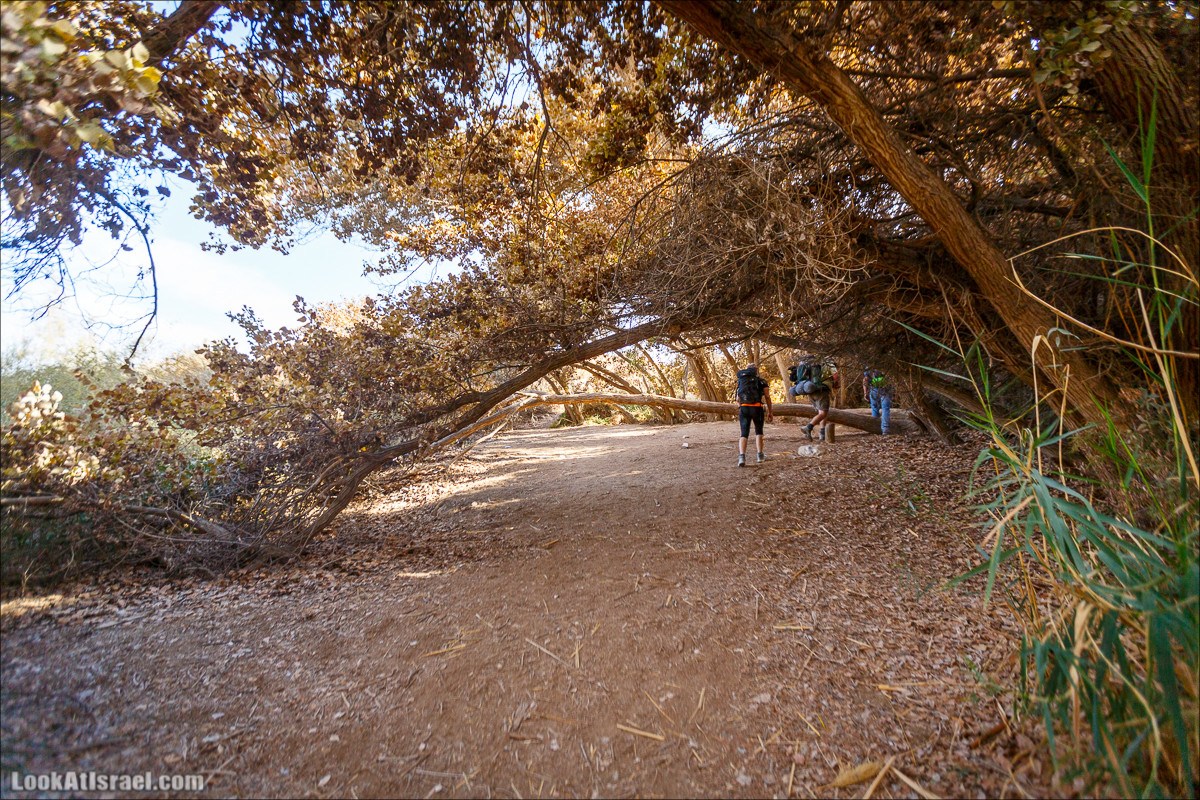 Трещины в пустыне, Сдаким, Нахаль Хава, Эйн Акев, Шавив | מעוק סדקים נחל חווה עין שביב עין עקב | LookAtIsrael.com - Фото путешествия по Израилю