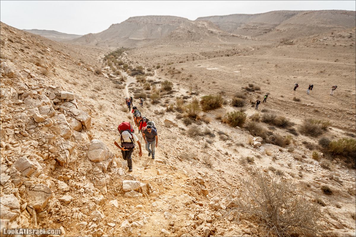 Трещины в пустыне, Сдаким, Нахаль Хава, Эйн Акев, Шавив | מעוק סדקים נחל חווה עין שביב עין עקב | LookAtIsrael.com - Фото путешествия по Израилю