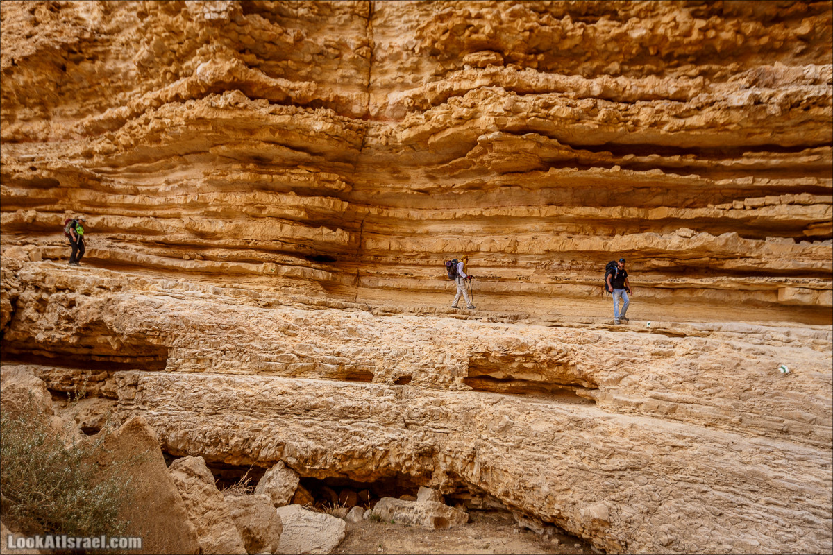 Трещины в пустыне, Сдаким, Нахаль Хава, Эйн Акев, Шавив | מעוק סדקים נחל חווה עין שביב עין עקב | LookAtIsrael.com - Фото путешествия по Израилю