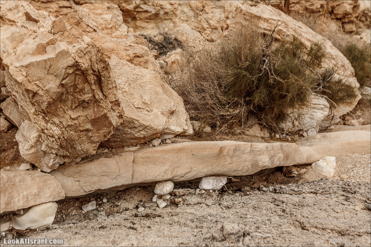 Трещины в пустыне, Сдаким, Нахаль Хава, Эйн Акев, Шавив | מעוק סדקים נחל חווה עין שביב עין עקב | LookAtIsrael.com - Фото путешествия по Израилю
