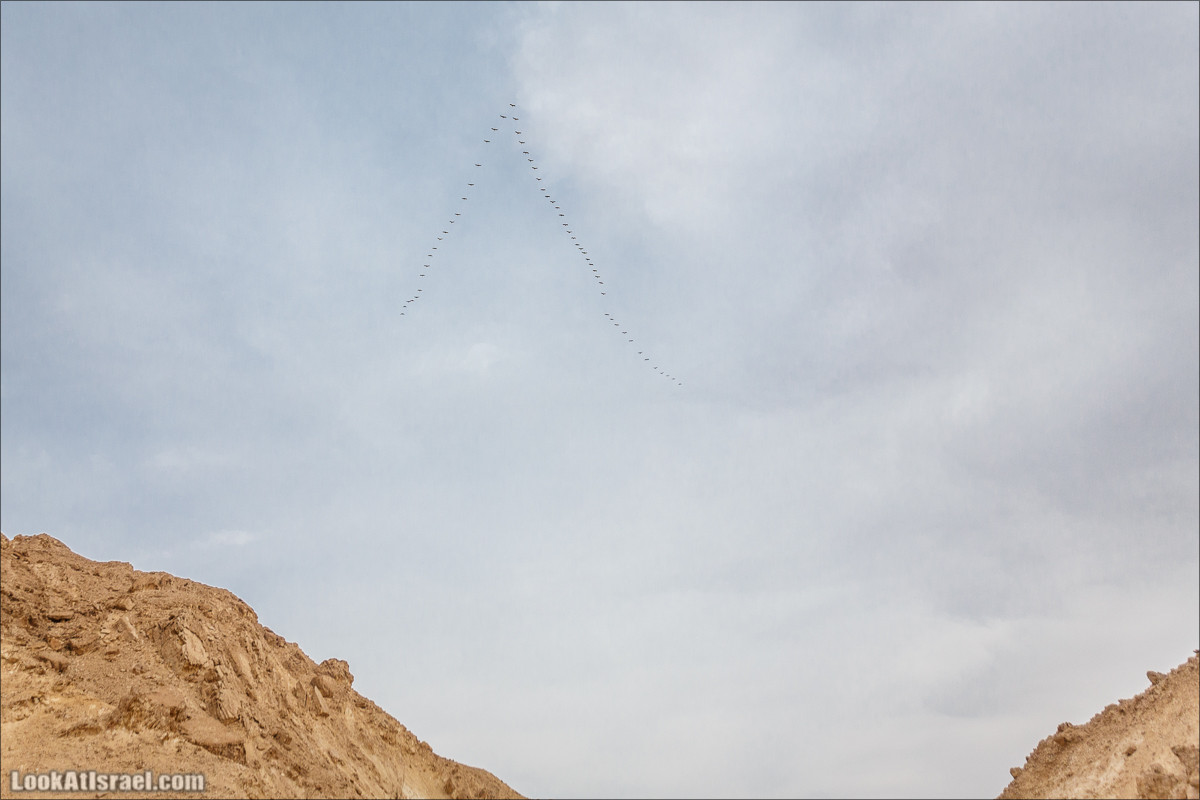 Трещины в пустыне, Сдаким, Нахаль Хава, Эйн Акев, Шавив | מעוק סדקים נחל חווה עין שביב עין עקב | LookAtIsrael.com - Фото путешествия по Израилю