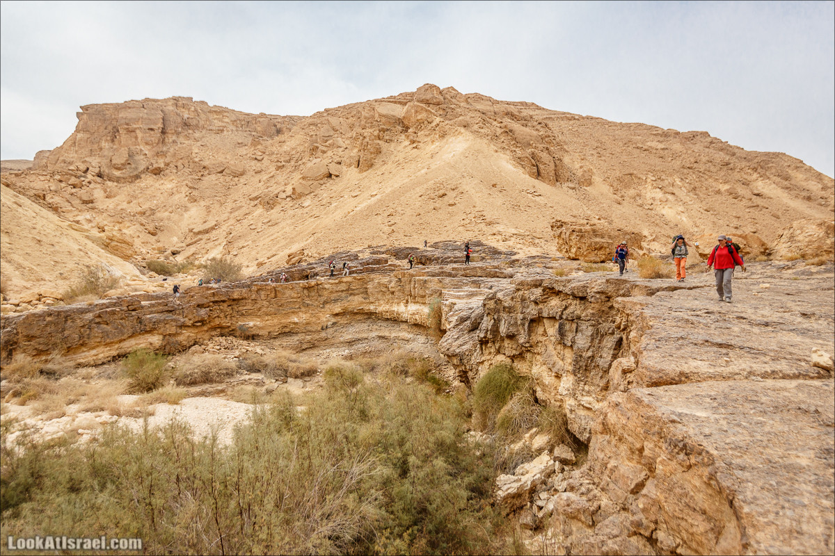Трещины в пустыне, Сдаким, Нахаль Хава, Эйн Акев, Шавив | מעוק סדקים נחל חווה עין שביב עין עקב | LookAtIsrael.com - Фото путешествия по Израилю