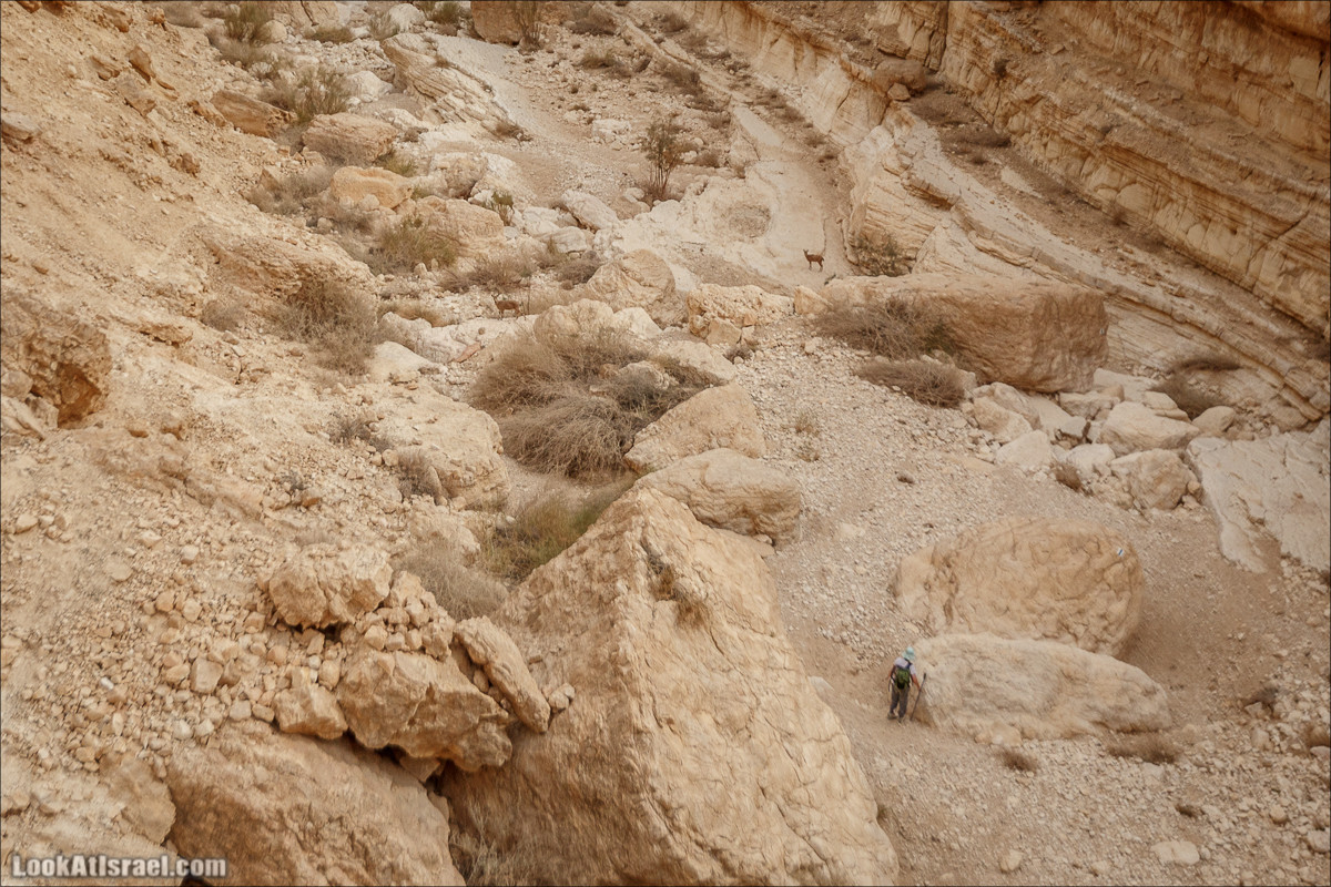 Трещины в пустыне, Сдаким, Нахаль Хава, Эйн Акев, Шавив | מעוק סדקים נחל חווה עין שביב עין עקב | LookAtIsrael.com - Фото путешествия по Израилю