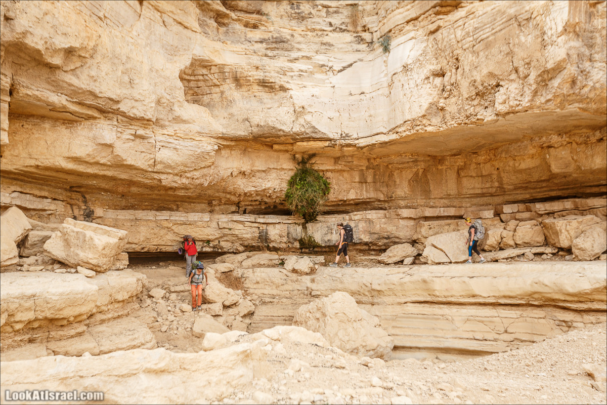 Трещины в пустыне, Сдаким, Нахаль Хава, Эйн Акев, Шавив | מעוק סדקים נחל חווה עין שביב עין עקב | LookAtIsrael.com - Фото путешествия по Израилю