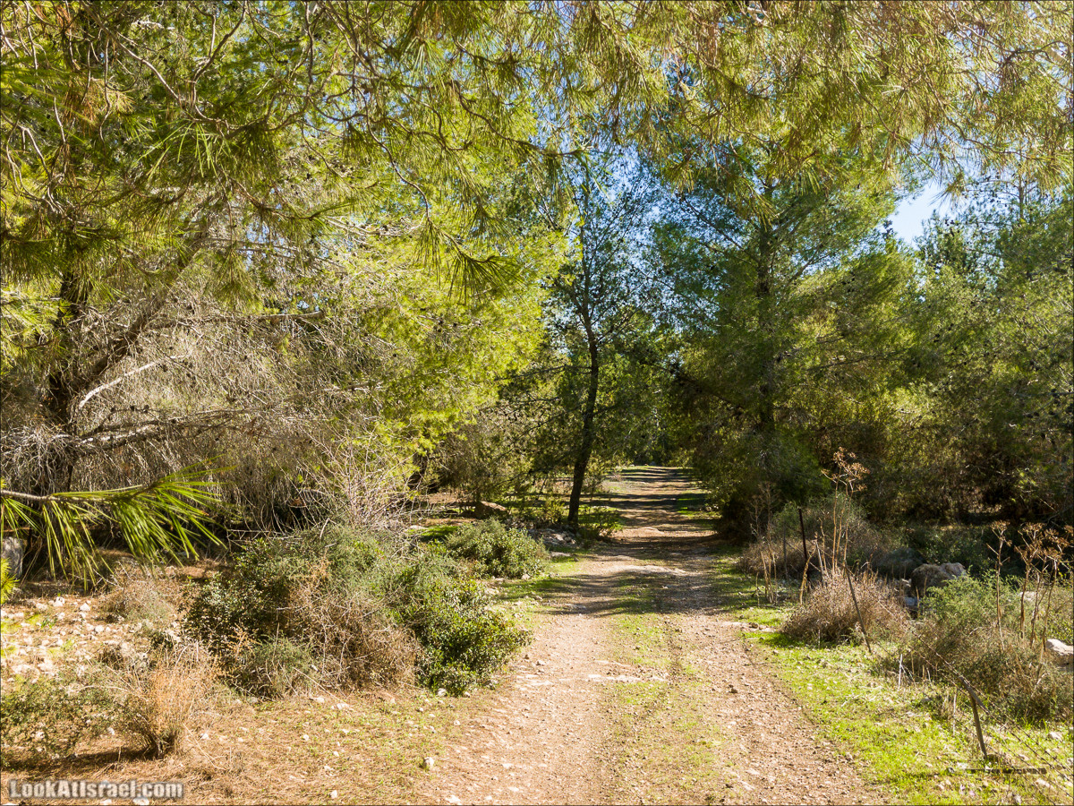 Внедорожное путешествие к Тель Цафит и окрестностям Шфелы | LookAtIsrael.com - Фото путешествия по Израилю