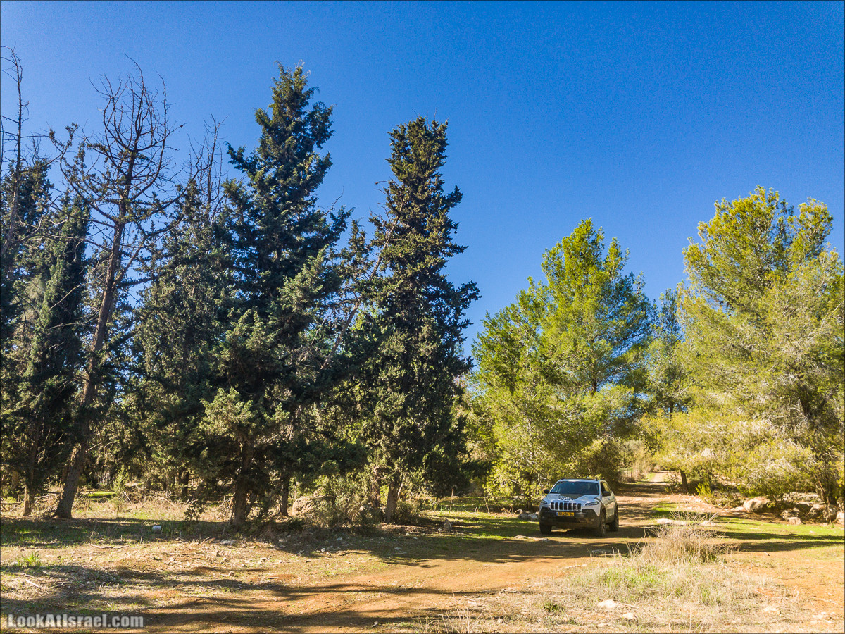 Внедорожное путешествие к Тель Цафит и окрестностям Шфелы | LookAtIsrael.com - Фото путешествия по Израилю