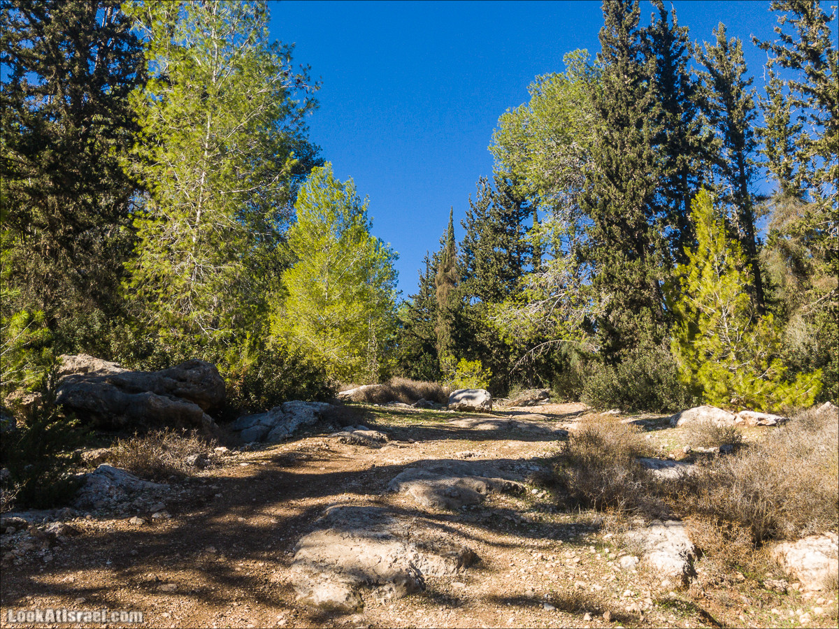 Внедорожное путешествие к Тель Цафит и окрестностям Шфелы | LookAtIsrael.com - Фото путешествия по Израилю