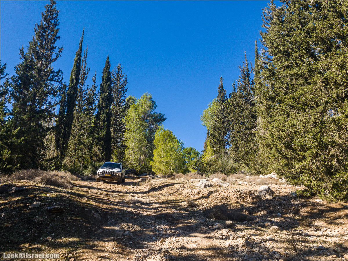 Внедорожное путешествие к Тель Цафит и окрестностям Шфелы | LookAtIsrael.com - Фото путешествия по Израилю