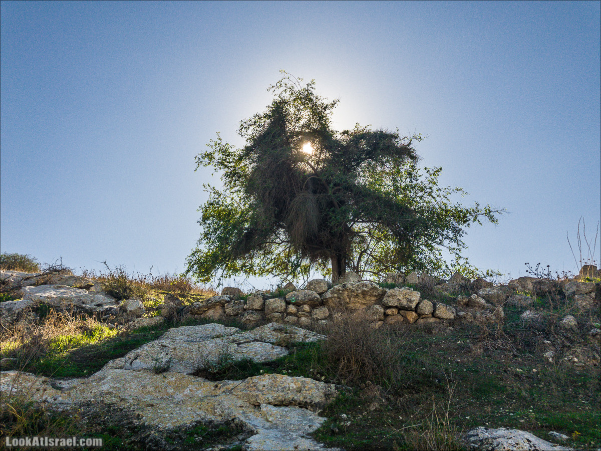 Внедорожное путешествие к Тель Цафит и окрестностям Шфелы | LookAtIsrael.com - Фото путешествия по Израилю